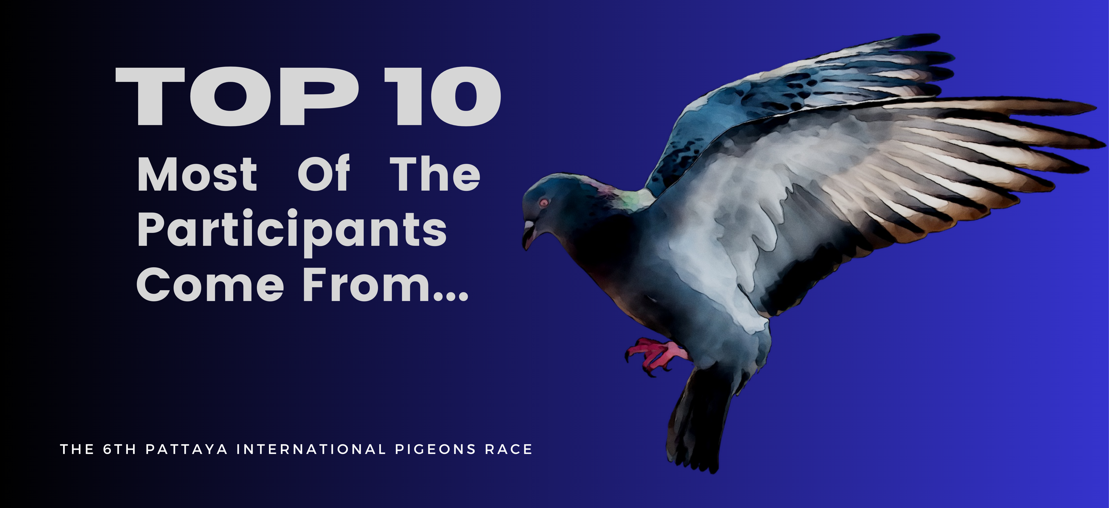 10 อันดับที่ส่งนกเข้ามาร่วมการแข่งขันมากที่สุดในปีนี้